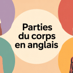 Illustration centrale des parties du corps en anglais