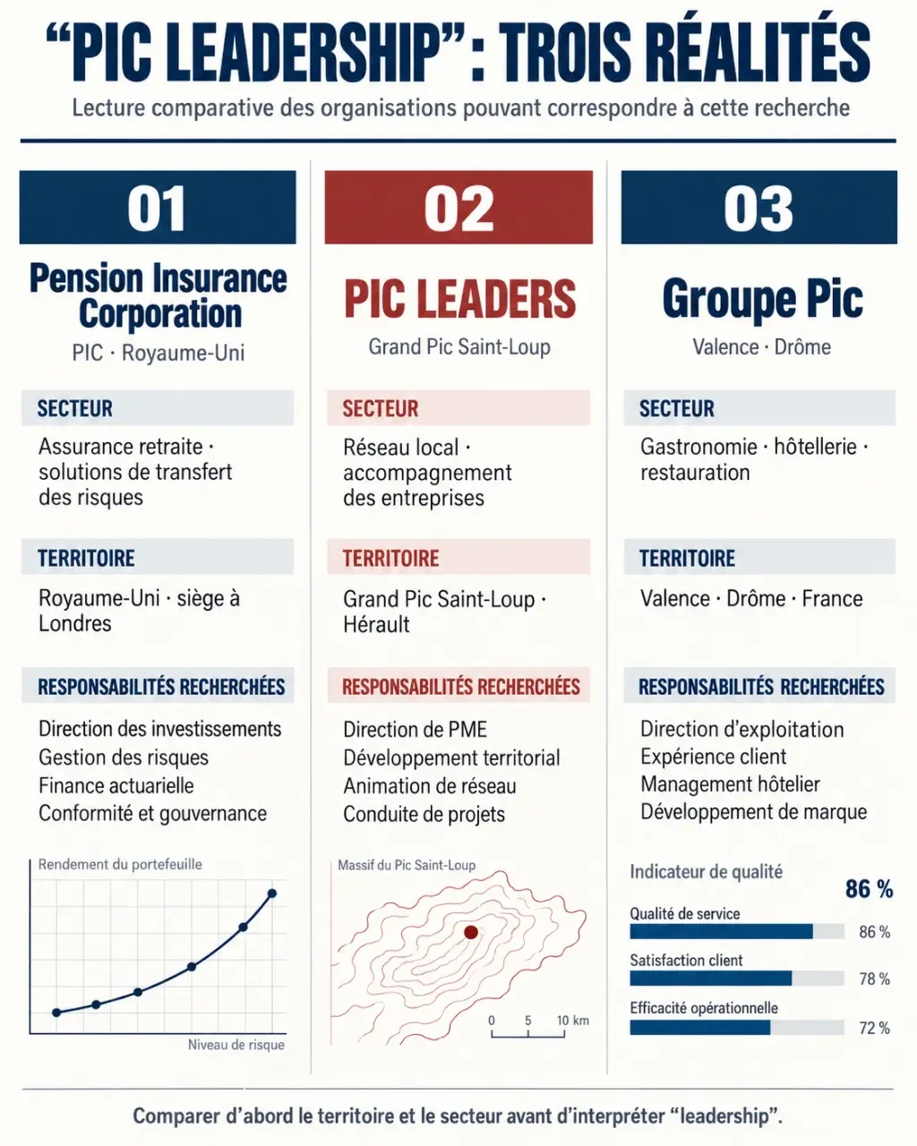 Infographie comparative des trois organisations visées par la recherche pic leadership